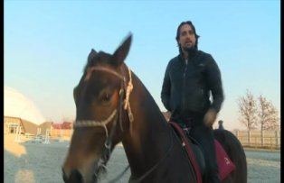 VIDEO / Denis Stefan le-a pregatit mirilor o surpriza care le-a dat emotii,  la "Nunti de poveste"