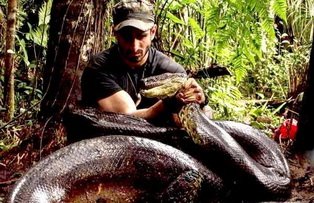 Biologul Paul Rosolie s-a lăsat mâncat de viu de o anacondă gigant