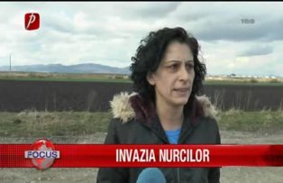 Invazia nurcilor