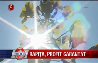 Rapita profit garantat