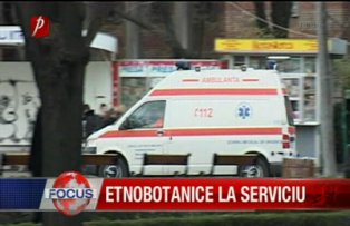 Etnobotanice la serviciu