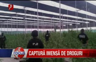 Captură imensă de droguri
