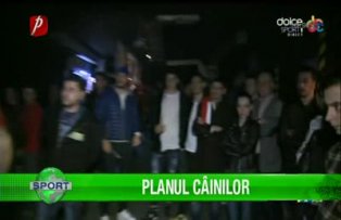 Planul câinilor