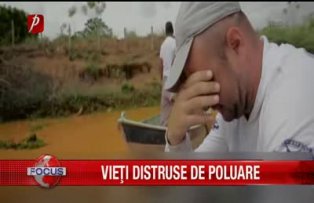Vieti distruse de poluare