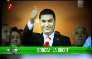 Borcea la Diicot