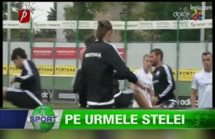 Pe urmele Stelei