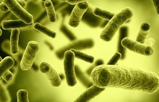 O bacterie face ravagii in Arges: un copil a murit, alti sapte se afla in stare grava