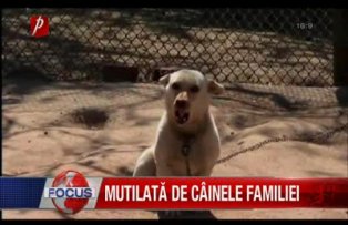 Mutilata de cainele familiei.