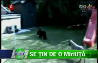 Se ţin de o MIriUŢĂ