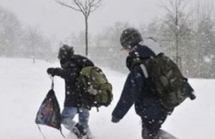 Scolile si gradinitele se redeschid marti in Bucuresti si Ilfov. In ce judete raman inchise