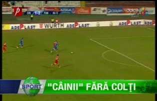 "Câinii" fără colţi