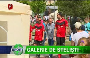 Galerie de stelişti