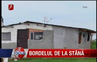 Bordelul de la stana
