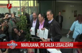 Marijuana pe calea legalizarii