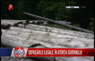 Defrisarile ilegale in atentia guvernului