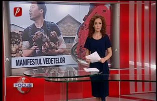 Vedetele, impotriva maltratarii cainilor
