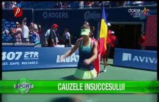 Cauzele insuccesului