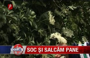 Soc si salcam pane