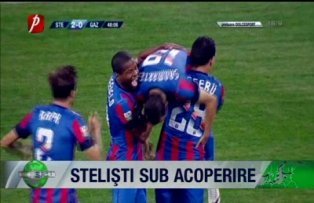 Stelişti sub acoperire
