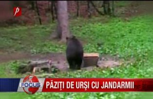 Paziti de ursi cu jandarmii