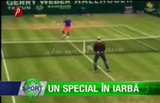 Un Special în iarbă