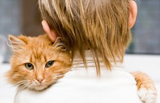 Pericolele parului de pisica: ce trebuie sa stii