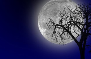 Cum te afecteaza Luna plina in zodia Taur