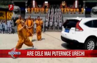 Are cele mai puternice urechi