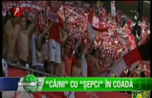 "Câini" cu "Şepci" în coadă