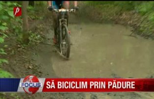 Sa biciclim prin padure