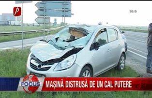 Masina distrusa de un cal putere