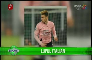 Lupul italian