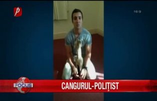 Cangurul-politist
