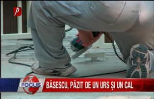 Basescu pazit de un urs si un cal
