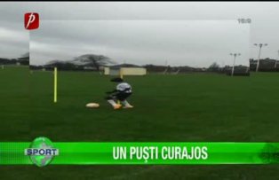 Un puşti curajos