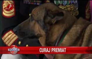 Curaj premiat