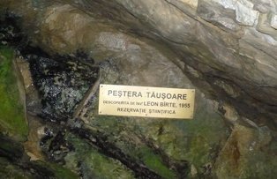 Pestera din Romania care i-a innebunit pe oamenii de stiinta: "Sunt lucruri unice in lume"