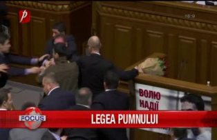 Legea pumnului