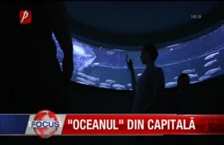 Oceanul din capitala