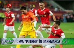 Ceva "putred" în Danemarca