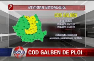 Cod galben de ploi