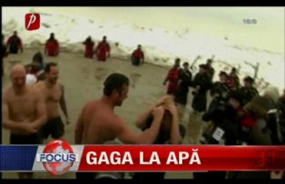 Gaga la apa