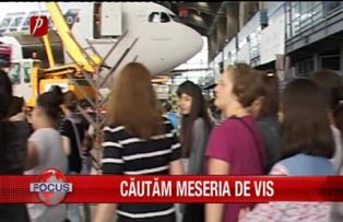 Cautam meseria de vis