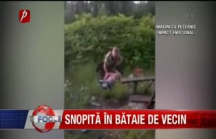 Snopita in bataie de vecin