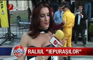 Raliul iepurasilor