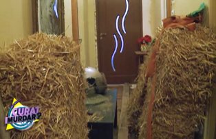 VIDEO /  Soc pentru specialistele "Curat, murdar?": "Am ajuns intr-un grajd"