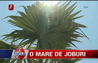 O mare de joburi