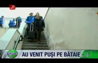 Au venit puşi pe bătaie