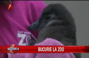 Bucurie la Zoo