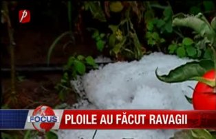 Ploile au facut ravagii